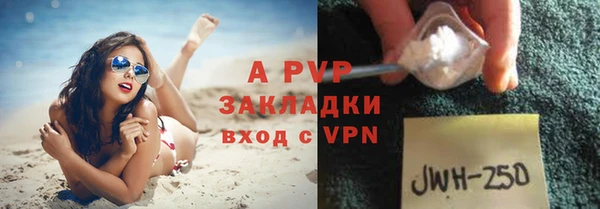 мдпв Кодинск