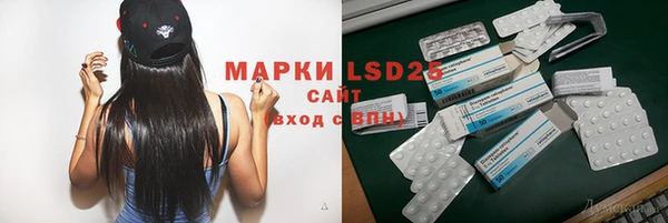 мдпв Кодинск